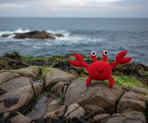 Untitled design - 2026-02-11T112538.391